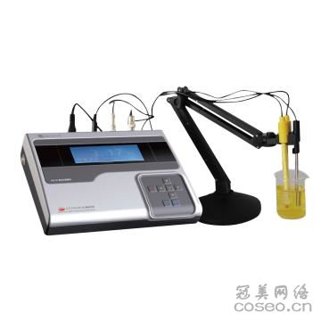 DWS-295F型钠离子计